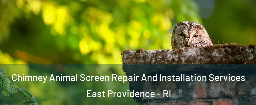  Chimney Animal Screen Repair And Installation Services East Providence - RI