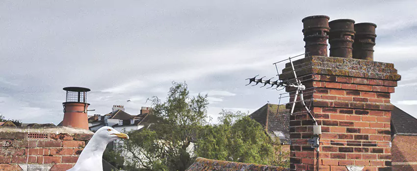 Chimney Cleaning And Restoration in East Providence, Rhode Island